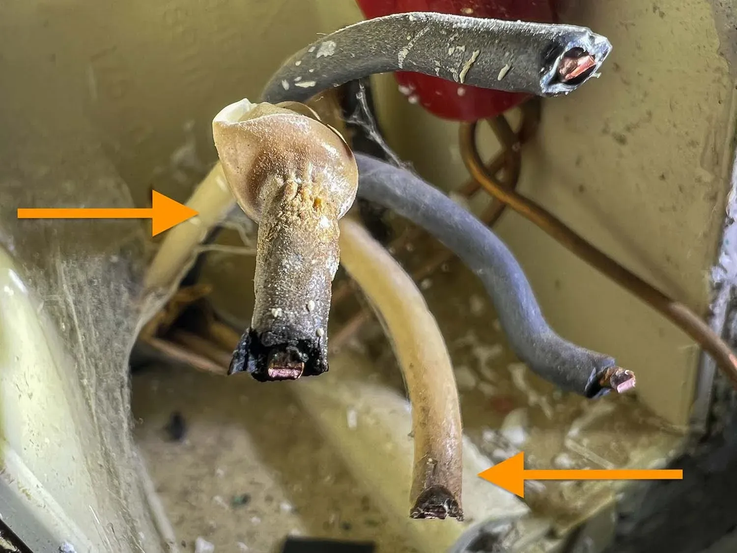 Are Loose Electrical Outlets Dangerous?